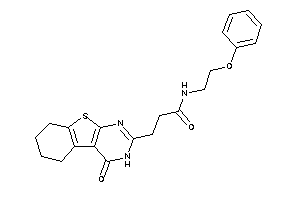 3-(4-keto-5,6,7,8-tetrahydro-3H-benzothiopheno[2,3-d]pyrimidin-2-yl)-N-(2-phenoxyethyl)propionamide