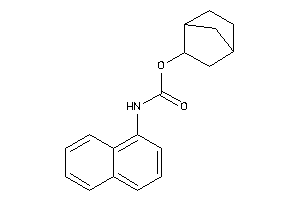 N-(1-naphthyl)carbamic Acid 2-norbornyl Ester