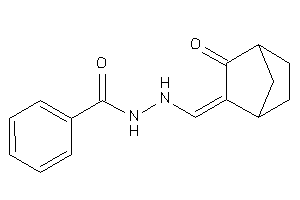 N'-[(3-ketonorbornan-2-ylidene)methyl]benzohydrazide