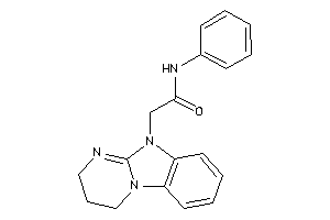 2-(3,4-dihydro-2H-pyrimido[1,2-a]benzimidazol-10-yl)-N-phenyl-acetamide