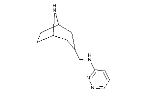 8-azabicyclo[3.2.1]octan-3-ylmethyl(pyridazin-3-yl)amine