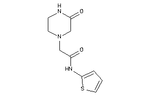 2-(3-ketopiperazino)-N-(2-thienyl)acetamide