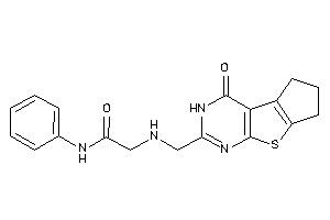 2-[(ketoBLAHyl)methylamino]-N-phenyl-acetamide