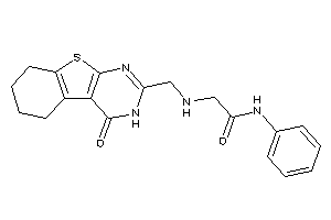 2-[(4-keto-5,6,7,8-tetrahydro-3H-benzothiopheno[2,3-d]pyrimidin-2-yl)methylamino]-N-phenyl-acetamide