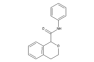 N-phenylisochroman-1-carboxamide