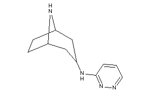 8-azabicyclo[3.2.1]octan-3-yl(pyridazin-3-yl)amine