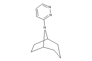 8-pyridazin-3-yl-8-azabicyclo[3.2.1]octane