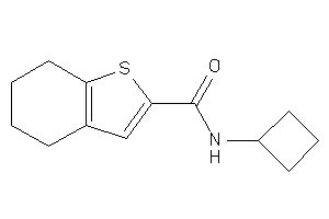 N-cyclobutyl-4,5,6,7-tetrahydrobenzothiophene-2-carboxamide