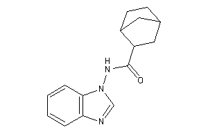 N-(benzimidazol-1-yl)norbornane-2-carboxamide