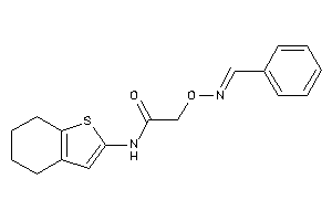 2-(benzalamino)oxy-N-(4,5,6,7-tetrahydrobenzothiophen-2-yl)acetamide