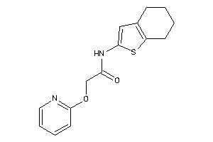 2-(2-pyridyloxy)-N-(4,5,6,7-tetrahydrobenzothiophen-2-yl)acetamide