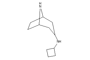 8-azabicyclo[3.2.1]octan-3-yl(cyclobutyl)amine