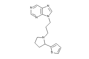 9-[3-[2-(2-thienyl)pyrrolidino]propyl]purine