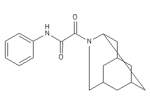 2-keto-N-phenyl-2-BLAHyl-acetamide