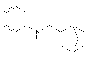 2-norbornylmethyl(phenyl)amine