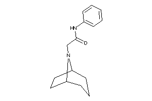 2-(8-azabicyclo[3.2.1]octan-8-yl)-N-phenyl-acetamide