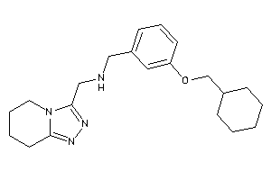 [3-(cyclohexylmethoxy)benzyl]-(5,6,7,8-tetrahydro-[1,2,4]triazolo[4,3-a]pyridin-3-ylmethyl)amine