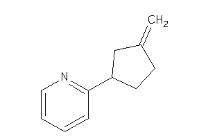 Image of 2-(3-methylenecyclopentyl)pyridine