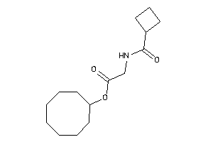 2-(cyclobutanecarbonylamino)acetic Acid Cyclooctyl Ester