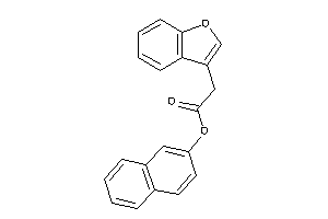 Image of 2-(benzofuran-3-yl)acetic Acid 2-naphthyl Ester