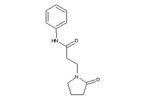 3-(2-ketopyrrolidino)-N-phenyl-propionamide