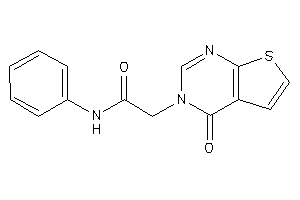 2-(4-ketothieno[2,3-d]pyrimidin-3-yl)-N-phenyl-acetamide