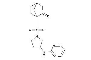 1-[(3-anilinopyrrolidino)sulfonylmethyl]norbornan-2-one