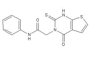 2-(4-keto-2-thioxo-1H-thieno[2,3-d]pyrimidin-3-yl)-N-phenyl-acetamide