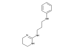 3-anilinopropyl(1,4,5,6-tetrahydropyrimidin-2-yl)amine