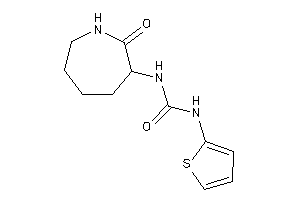 1-(2-ketoazepan-3-yl)-3-(2-thienyl)urea