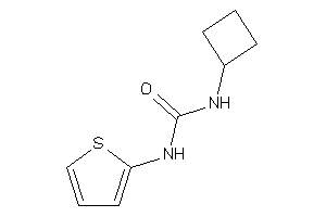 1-cyclobutyl-3-(2-thienyl)urea