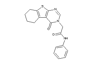 2-(4-keto-5,6,7,8-tetrahydrobenzothiopheno[2,3-d]pyrimidin-3-yl)-N-phenyl-acetamide