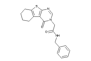 N-benzyl-2-(4-keto-5,6,7,8-tetrahydrobenzothiopheno[2,3-d]pyrimidin-3-yl)acetamide