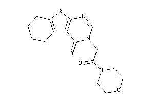 3-(2-keto-2-morpholino-ethyl)-5,6,7,8-tetrahydrobenzothiopheno[2,3-d]pyrimidin-4-one