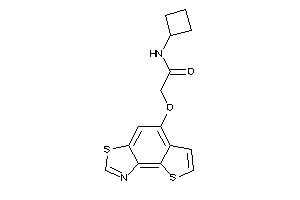 N-cyclobutyl-2-thieno[2,3-e][1,3]benzothiazol-5-yloxy-acetamide