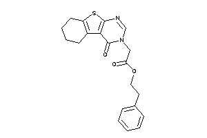 2-(4-keto-5,6,7,8-tetrahydrobenzothiopheno[2,3-d]pyrimidin-3-yl)acetic Acid Phenethyl Ester