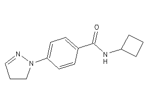 N-cyclobutyl-4-(2-pyrazolin-1-yl)benzamide