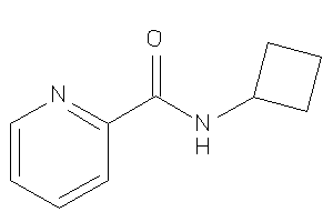 Image of N-cyclobutylpicolinamide