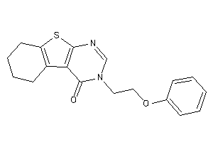 3-(2-phenoxyethyl)-5,6,7,8-tetrahydrobenzothiopheno[2,3-d]pyrimidin-4-one