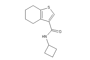 N-cyclobutyl-4,5,6,7-tetrahydrobenzothiophene-3-carboxamide