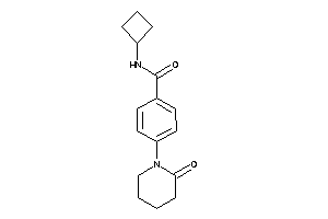 N-cyclobutyl-4-(2-ketopiperidino)benzamide