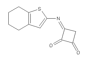 Image of 3-(4,5,6,7-tetrahydrobenzothiophen-2-ylimino)cyclobutane-1,2-quinone