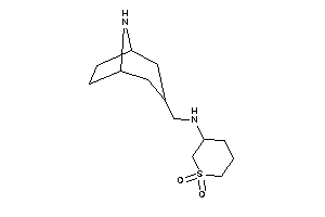 8-azabicyclo[3.2.1]octan-3-ylmethyl-(1,1-diketothian-3-yl)amine