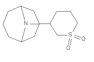 3-(9-azabicyclo[3.3.1]nonan-9-yl)thiane 1,1-dioxide
