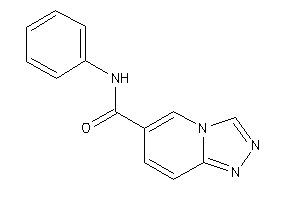 N-phenyl-[1,2,4]triazolo[4,3-a]pyridine-6-carboxamide