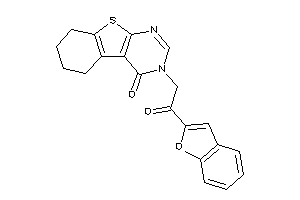 3-[2-(benzofuran-2-yl)-2-keto-ethyl]-5,6,7,8-tetrahydrobenzothiopheno[2,3-d]pyrimidin-4-one