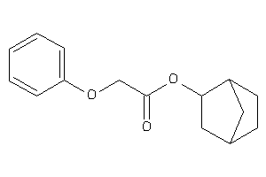 2-phenoxyacetic Acid 2-norbornyl Ester