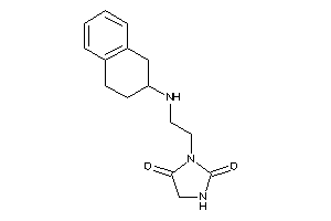 3-[2-(tetralin-2-ylamino)ethyl]hydantoin