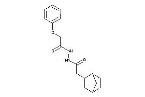 N'-[2-(2-norbornyl)acetyl]-2-phenoxy-acetohydrazide