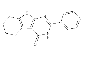 2-(4-pyridyl)-5,6,7,8-tetrahydro-3H-benzothiopheno[2,3-d]pyrimidin-4-one